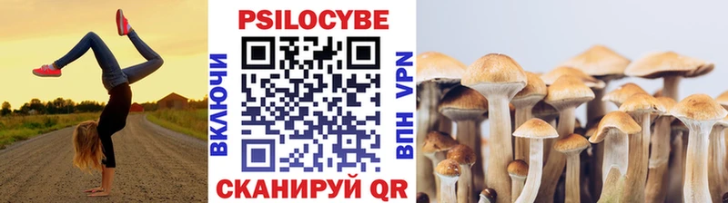 Галлюциногенные грибы мицелий Макарьев