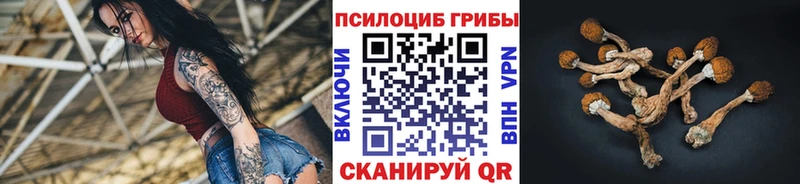 сколько стоит  Макарьев  Галлюциногенные грибы прущие грибы 