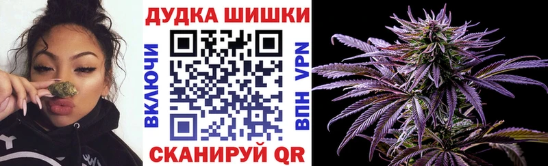 Конопля сатива  хочу наркоту  Макарьев 